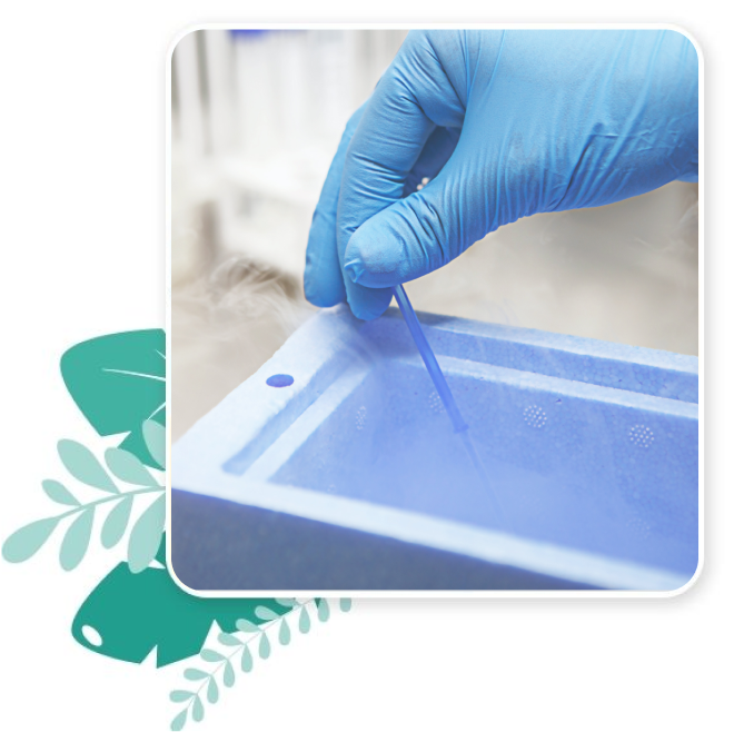 inseminacion artificial madrid