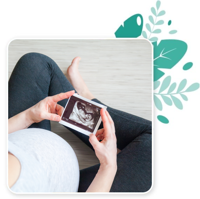 clinicas inseminación artificial madrid