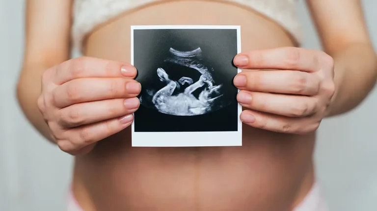 implementacion del embrion