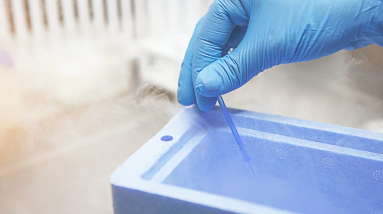 inseminacion-artificial-detalle